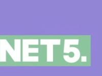 De Weddingplanners: van chaos naar champagne