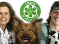 Dieren op Spreekuur