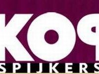Kopspijkers