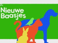 Nieuwe Baasjes