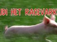 Rudi het racevarken