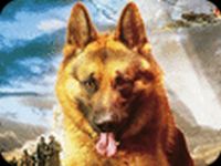 Snuf de hond