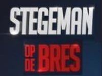 Stegeman Op De Bres