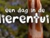 Een dag in de Dierentuin gemist