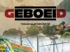 Geboeid - terug naar Indonesi gemist