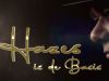 Hazes Is De Basis gemist