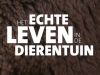 Het Echte Leven in de Dierentuin gemist