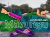 Kinderen van Mavungu gemist