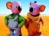Koala Broertjes gemist