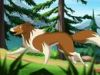 Lassie gemist