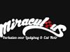 Miraculous: Verhalen over Ladybug en Cat Noir gemist