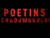 Poetins Schaduwoorlog gemist