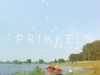 Prikkels gemist