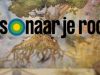Reis Naar Je Roots gemist