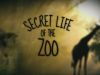 Secret Life of the Zoo gemist