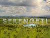 Serengeti gemist