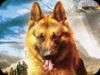 Snuf de hond gemist
