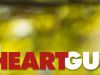 The Heart Guy gemist