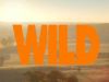 Wild op de Veluwe gemist