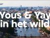 Yous & Yay in het wild gemist