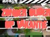 Zonder Ouders Op Vakantie (ZOOV) gemist