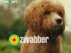 Zwabber gemist