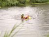 Twee keer ree uit kanaal gered bij Helmond