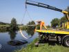Hoornaar vliegt door autoraam, bestuurder schrikt en rijdt kanaal in