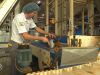 Het is dik 30 graden... en deze fabriek bakt pepernoten