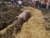 Zwientie Tikken op Dicky Woodstock festival