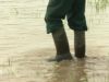 Boeren balen van enorme wateroverlast