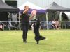 Brummen decor voor spectaculaire dogfrisbee-wedstrijd