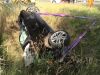 Auto met vier kinderen slaat over de kop bij Holten, bestuurder aangehouden