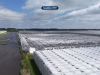 Grote tomatenkas in Middenmeer stort in: oorzaak nog een raadsel