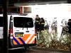 Gemaskerde bende berooft kinderen van snoep tijdens Sint Maarten in Haarlem