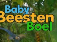 BabyBeestenBoel - Liften