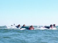 Baywatch - Shark Derby