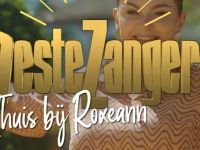 Beste Zangers Thuis Bij - Ferdi Bolland