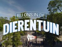 Bij ons in de Dierentuin - 8-11-2025