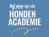 Bij ons op de Hondenacademie - Blindengeleidehonden