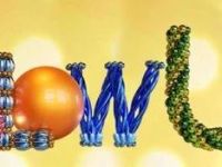 Blow Up - Leonie ter Braak maakt RTL4-debuut met ballonnenshow