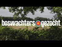 Boswachters Gezocht - Juul & Amy