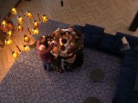 De Bondgenoten - 6-2-2026