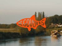 De Goudvis - Klein-Willebroek naar Zennegat