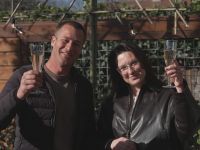 De Grote Tuinverbouwing - Haarlem