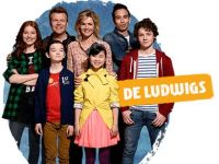 De Ludwigs - De Inbraak