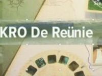 De Reünie - Arjan Ederveen