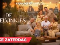De Roelvinkjes - Aflevering 3