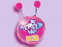 De wereld van K3 - Het dagboek van K3