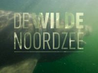 De Wilde Noordzee - Riffen